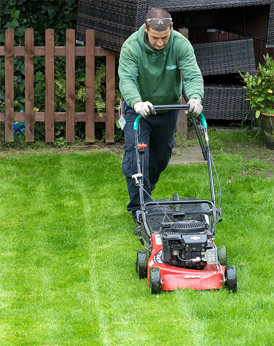 Commercial Grounds Maintenance | Garden Maintenance