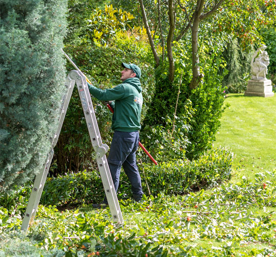 Commercial Grounds Maintenance | Garden Maintenance